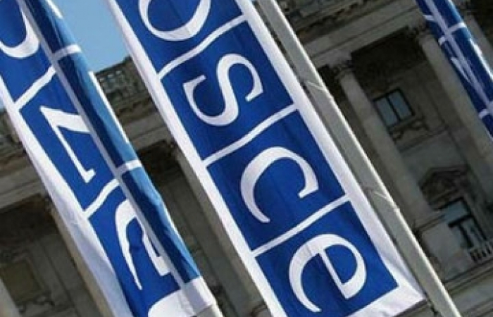 АрмИнфо: Глава Ереванского офиса ОБСЕ: